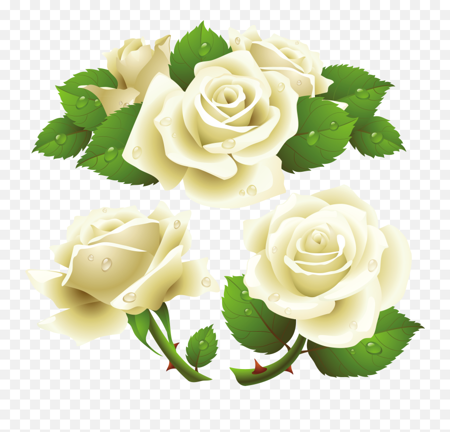 Free Rose Background Png Download Free - White Rose Vector Png Emoji,Yellow Rose Emoji