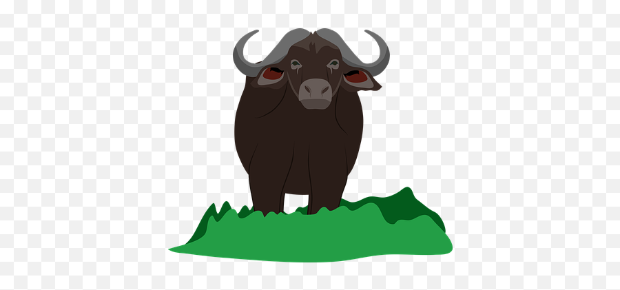 100 Free Buffalos U0026 Bison Vectors - Pixabay Animal Figure Emoji,Longhorn Emoji