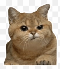 Emoji,Mafumafu Emoticon