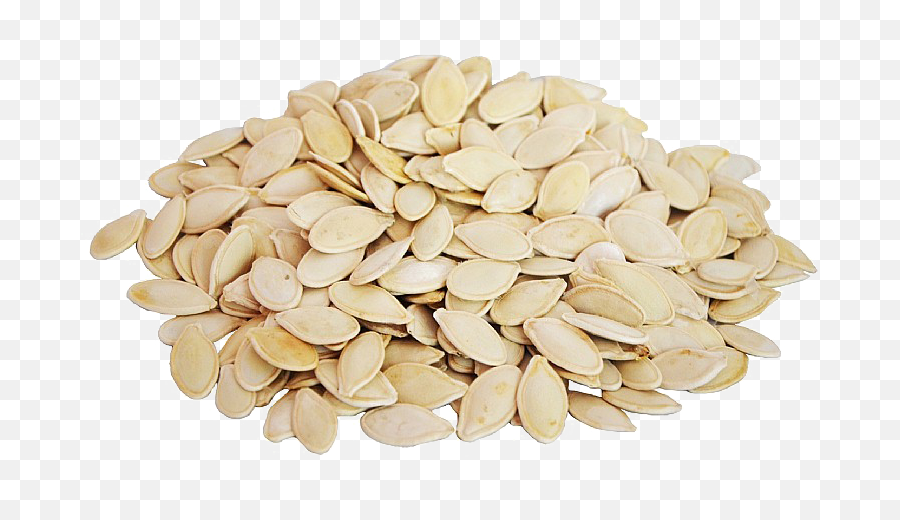 Pumpkin Seeds Png Emoji,Seedling Emoji