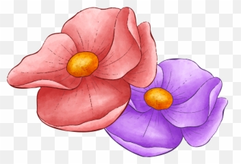 450 Valentine Day Png Ideas In 2022 Valentine Valentines Emoji,Flower Emoticons Group
