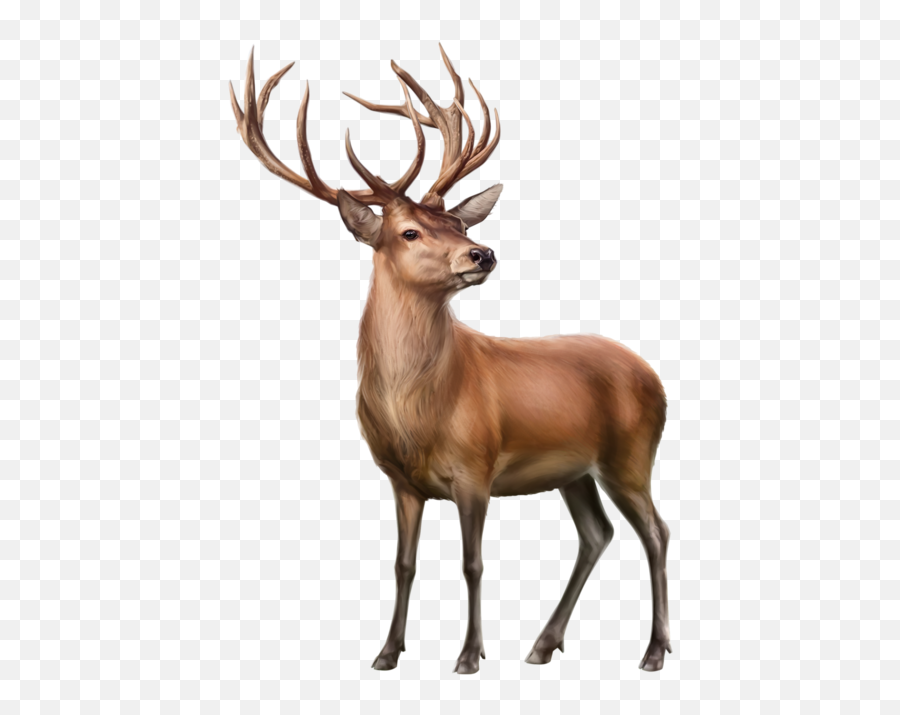 Ftesdeerbuckantlers Sticker Emoji,Buck Emoji