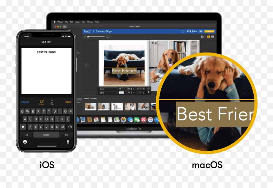 Photo Book App Apple Photo Book Macos Or Ios Motif - Smart Device Emoji,Dogs Trust Emoji App