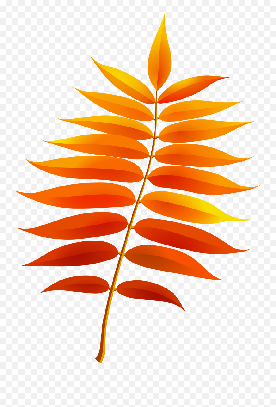 Download Transparent Fall Leaf Png Image Clipart Png Free - Orange Monstera Leaf Png Emoji,Fall Leaf Emoticon
