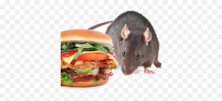 Burger Rats By Gias Ahmed - Brown Rat Emoji,Emojis Burger