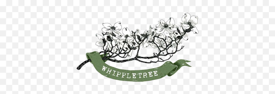 Whippletree U2013 Pittsburgh Destination Wedding And Elopement Emoji,Human Emotions Photography