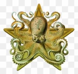 Events Archives - Ernst Haeckel Artwork Octopus Emoji,Octopus Capable Of Emotion