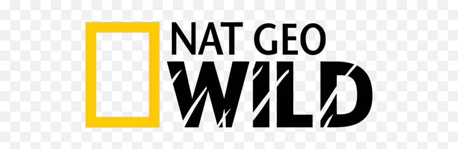 What Are The Best Youtube Channels For Learning Growth And - National Geographic Wildlife Logo Emoji,Cgpgrey Emotions And Idea Germs