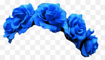 Flower Crown Transparent Background Posted By Zoey Walker - Red Flower Crown Transparent Png Emoji,Emoji Crown Overlay