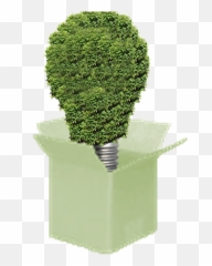 Enterra Insights Food And Drink - Flowerpot Emoji,Umami The Fifth Emotion
