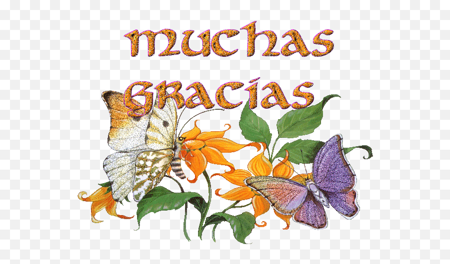 Мучо грасиас. Открытки на испанском языке спасибо. Gracias картинки. Спасибо бабочки. Спасибо цветы бабочки.