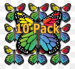 Roller Coaster Card With Flying Butterfly Butterflyers Emoji,Free Butterfly Emojis