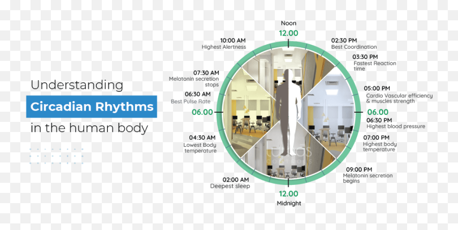 Human - Centric Lighting For Health And Wellbeing Emoji,Agt Secrete Emotion