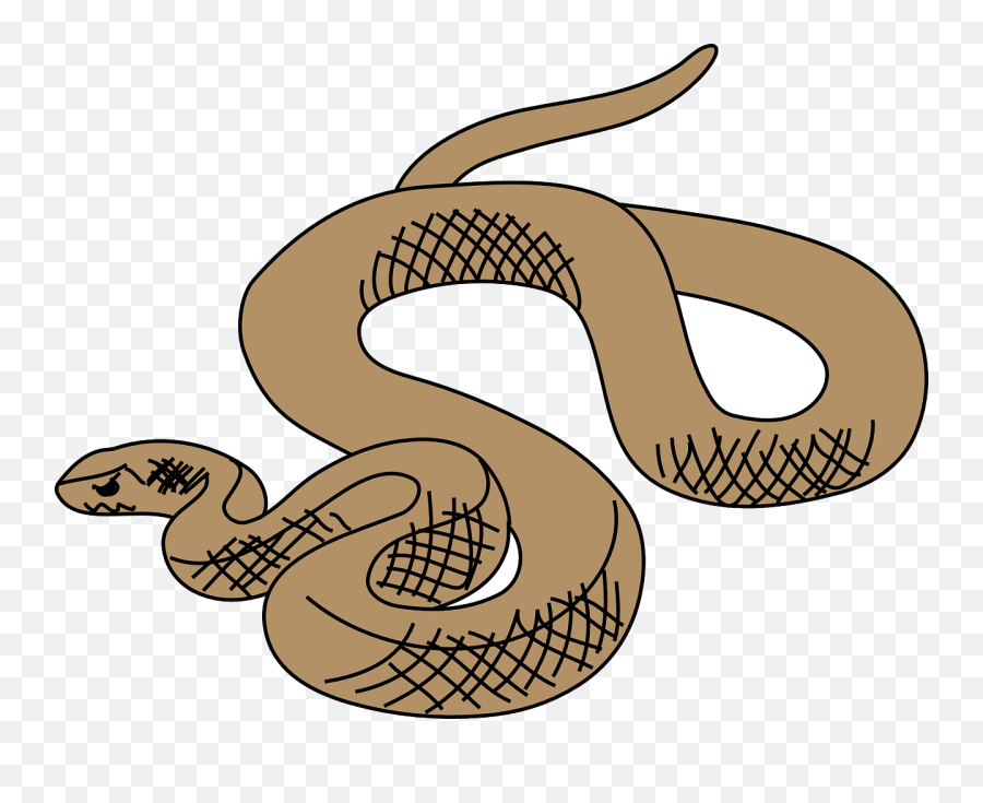 Brown Tree Snake - Brown Tree Snake Clipart Emoji,Rattlesnake Emoji