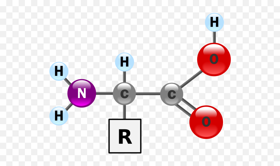 Chemistry Running Behind Anger Chemistry Of Anger - Model Of An Amino Acid Emoji,Emotion Chemicals