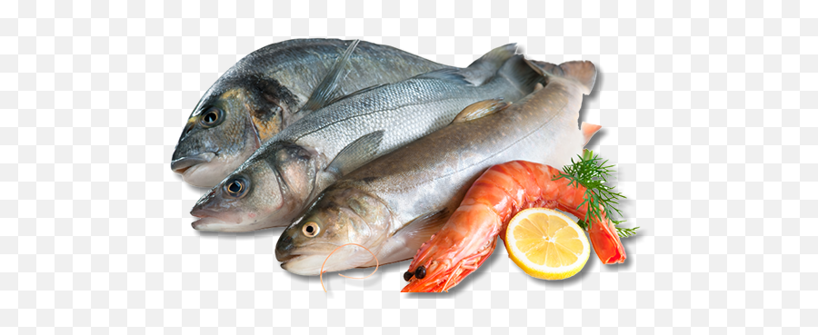 Download We Also Offer Complimentary Fish Frying At All Of - All Kind Of Fish Png Emoji,Poultry Meat Emoji