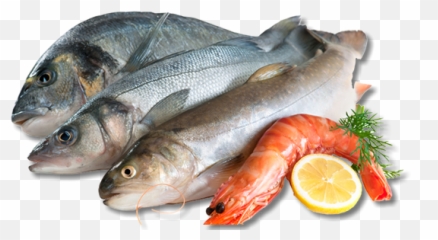 Download We Also Offer Complimentary Fish Frying At All Of - All Kind Of Fish Png Emoji,Poultry Meat Emoji
