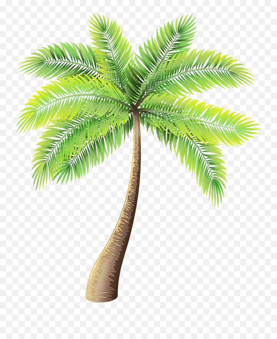 Clip Art Palm Trees Portable Network - Palm Tree Png Emoji,Unicode Emoticon Palm Tree