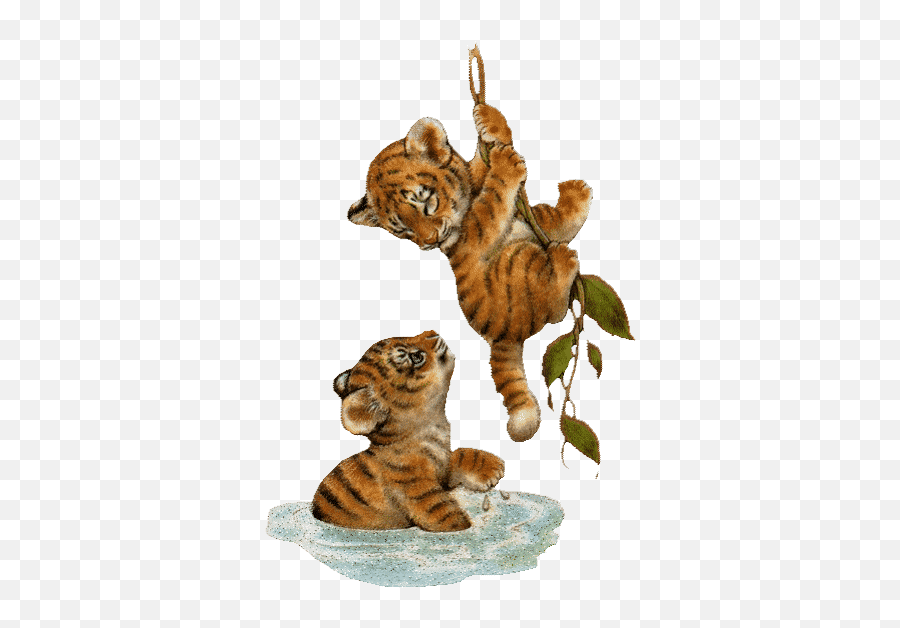 Top Zootopia Porno Stickers For Android U0026 Ios Gfycat - Animated Baby Tiger Gif Emoji,Zootopia Emoji