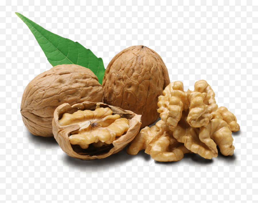 Walnuts Png Hd Png Svg Clip Art For - Walnuts Png Emoji,Walnut Emoji