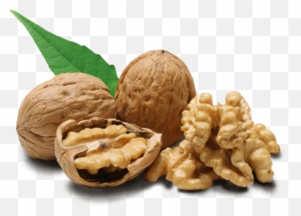 Walnuts Png Hd Png Svg Clip Art For - Walnuts Png Emoji,Walnut Emoji