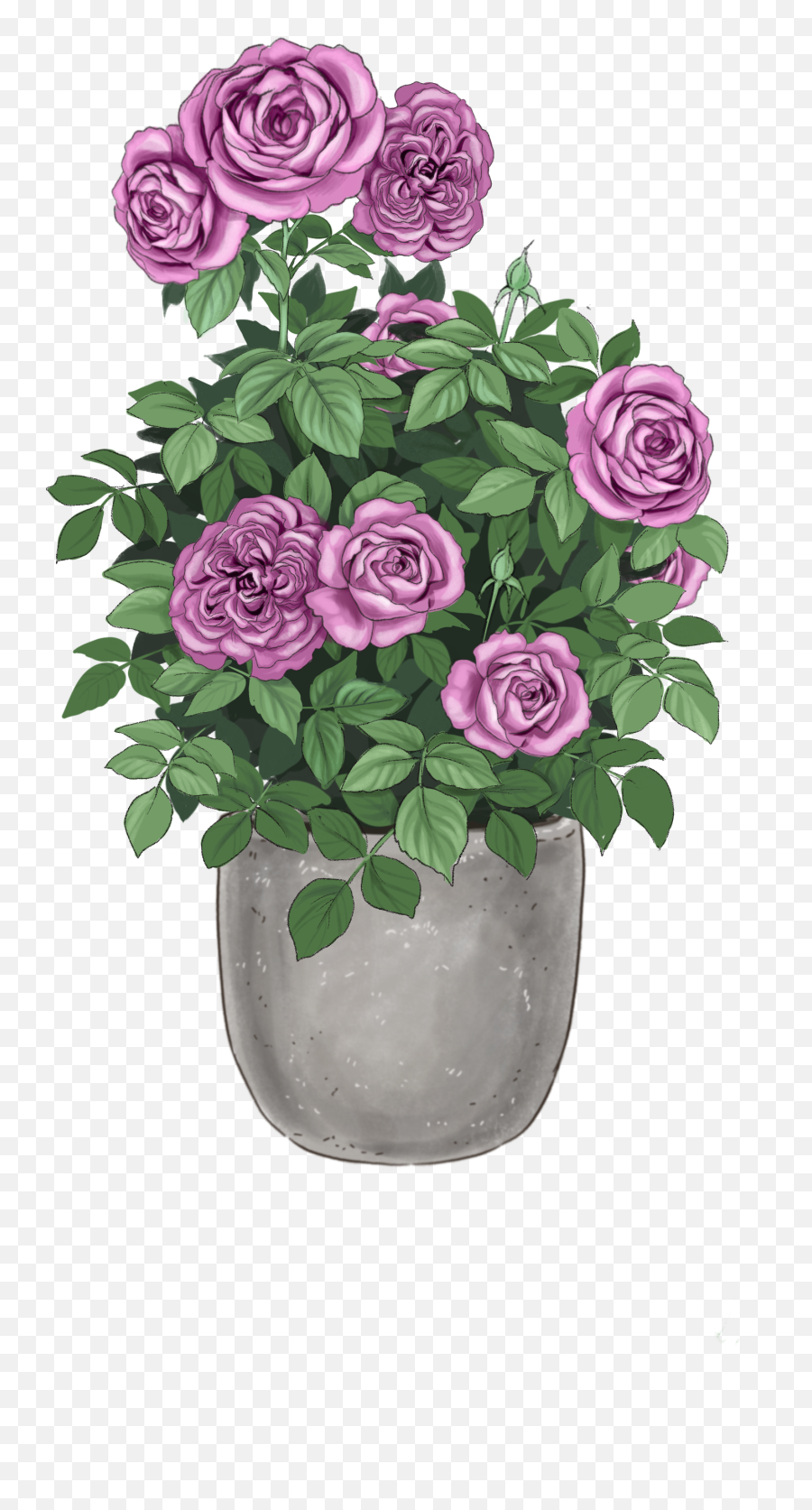 Climbing Lavender Crush U2013 Bare Root Rose Bush Emoji,Shopping Cart Flower Emoji