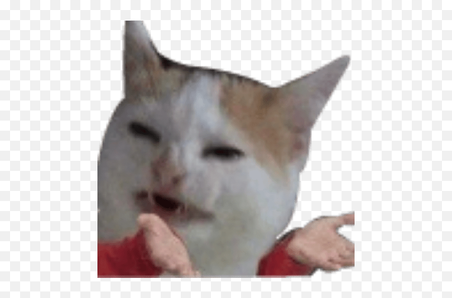 Fervonlaiho Emoji,:waf: Cat Emoji