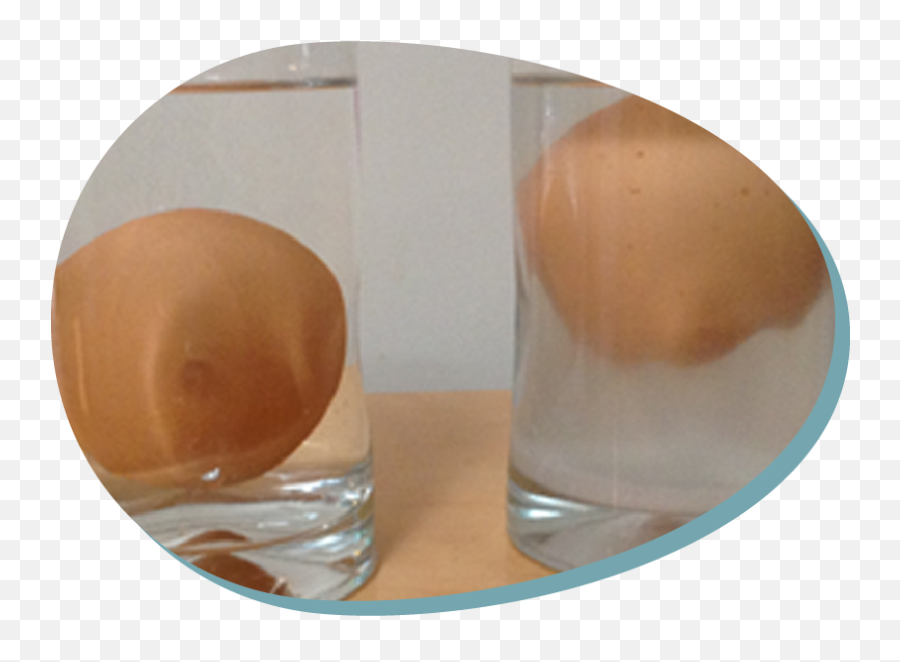 Egg And Salt Floating Experiment U2013 Kitchen Lab 4 Kids - Serveware Emoji,Water And Emotions Experiment