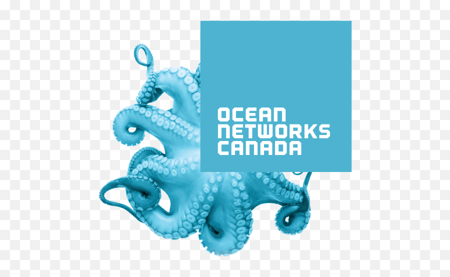 School Of Music - Ocean Networks Canada Emoji,Octopus Capable Of Emotion