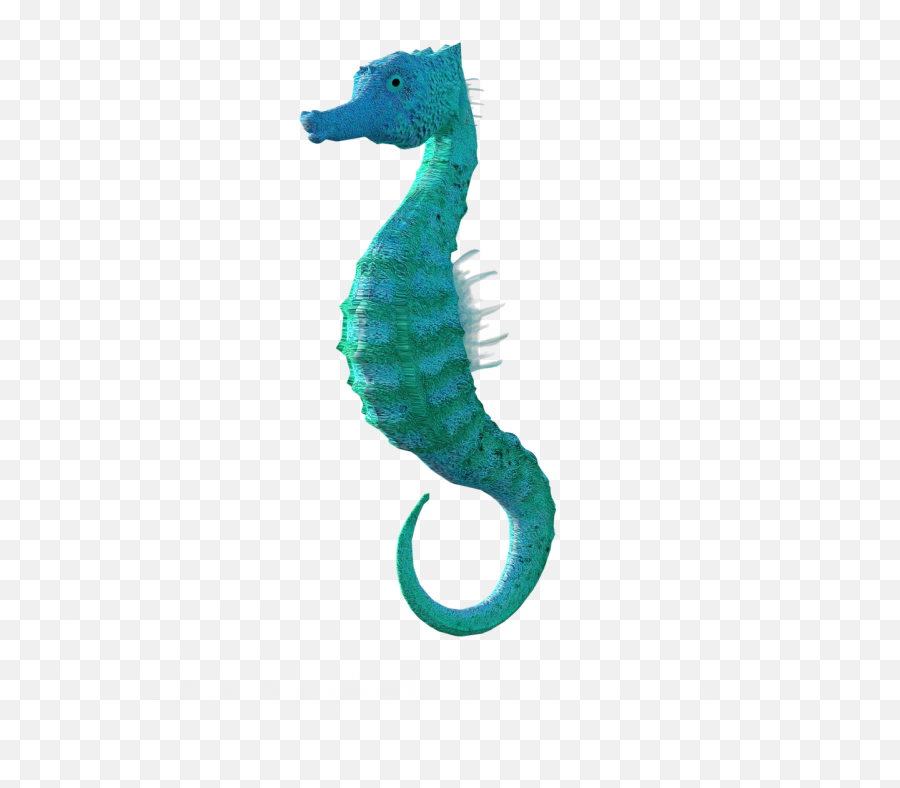 Caballito De Mar Animales - Png Emoji,Tipo De Espanol Sehorse Emoji