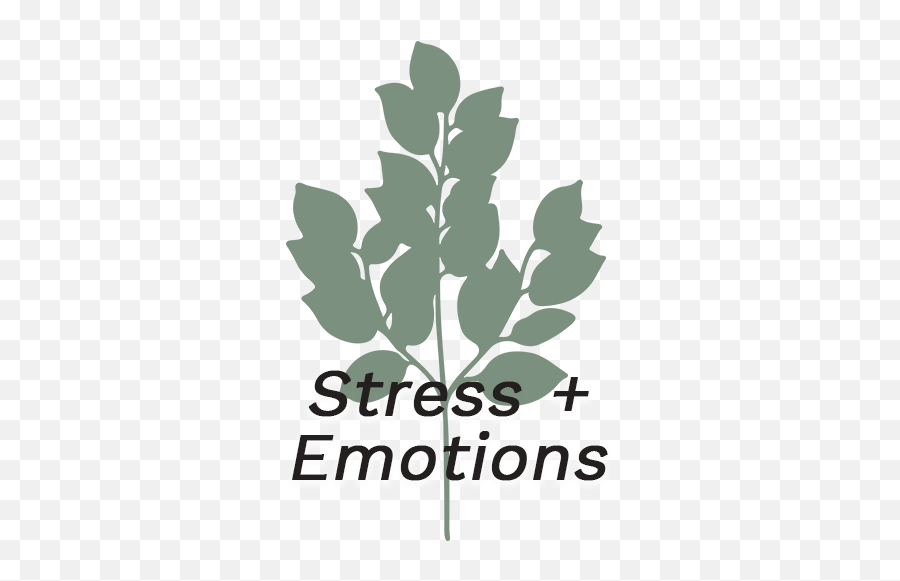 Family Functional Medicine - Language Emoji,Thyroid Medication And Emotions