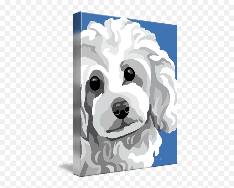Poodle By Pixel Paint Studio Emoji,White Toy Poodle Emoticon