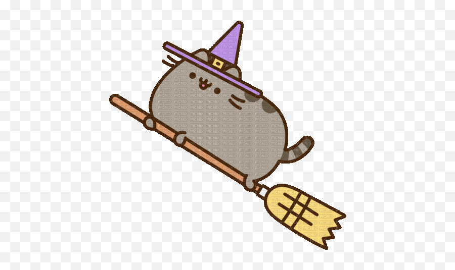 Witch Pusheen Wizard Broom Cat - Picmix Emoji,What Do The Different Pusheen Emoticons Mean