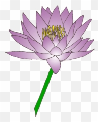 Madonna Lily Clipart Etc Gif - Clipartix Shapla Png Emoji,Lily Pad Emoji