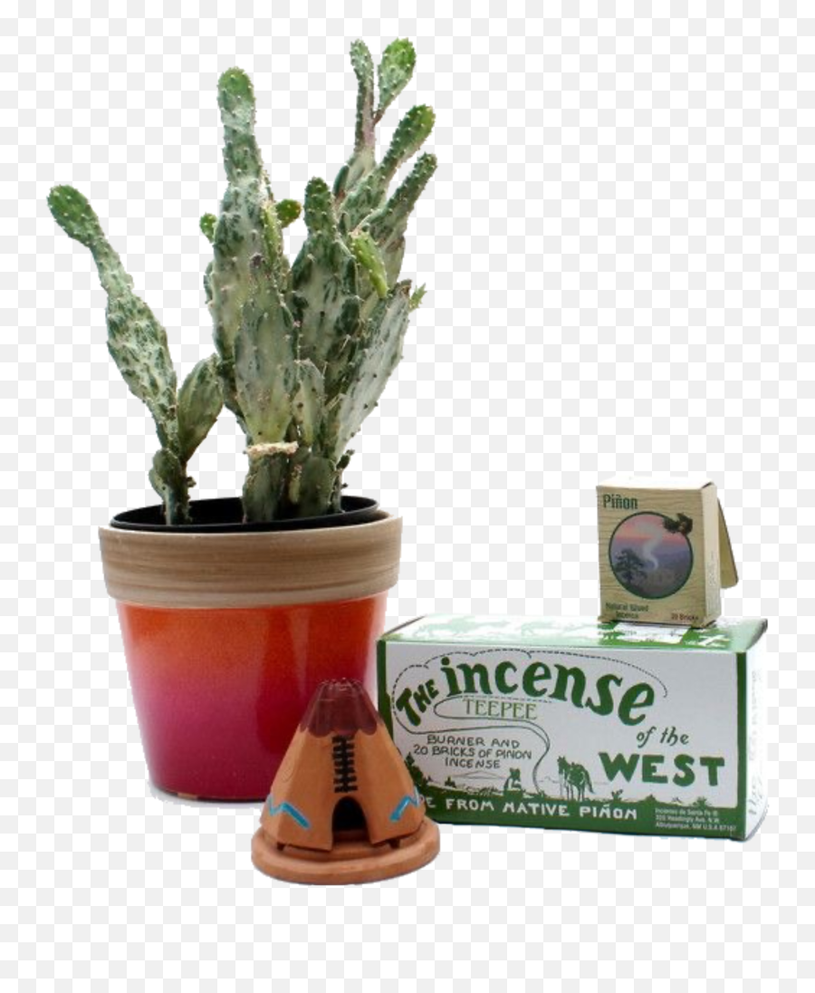 Incense Succulent Sticker By - Triangle Cactus Emoji,Incense Emoji
