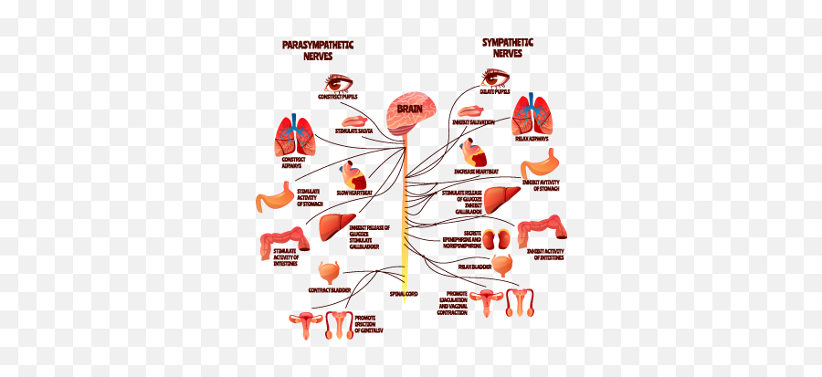 Getting Serious About Sensory U2014 Nelle Frances Autism Emoji,Autismn Emotions Hungry