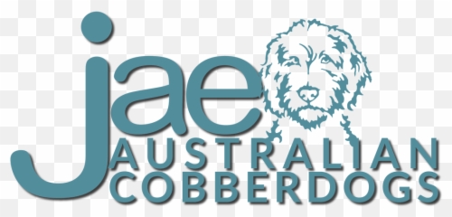 More About The Australian Cobberdog - Language Emoji,Dogs Display Human Emotions