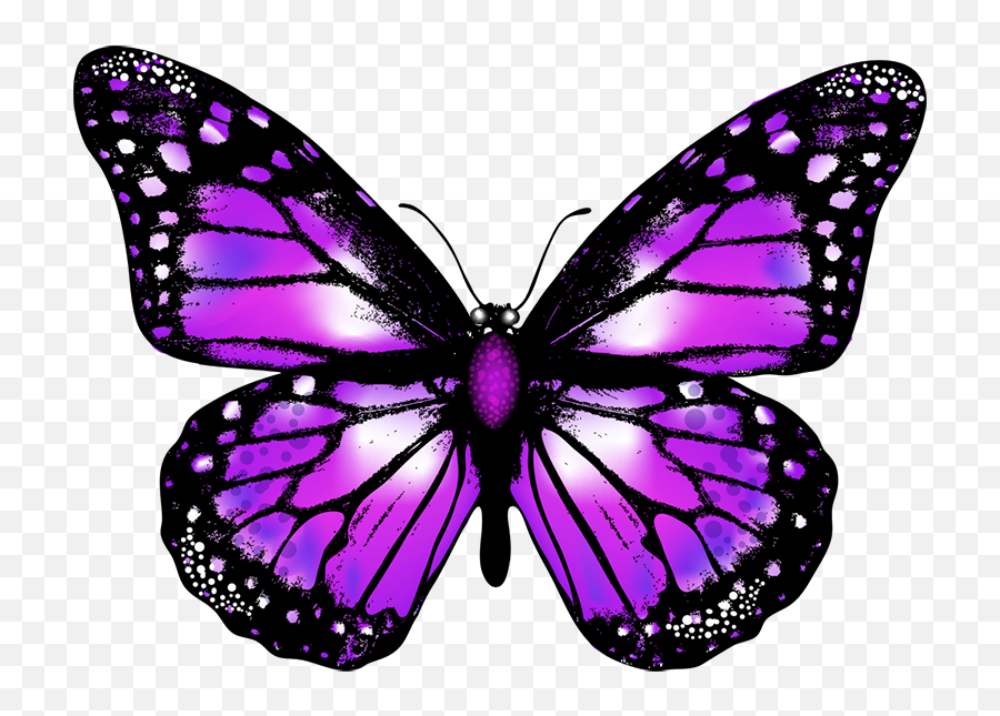 Purple Butterfly Emoji Wallpaper - Novocomtop Beautiful Red Butterfly,Purple Butterfly Emojis