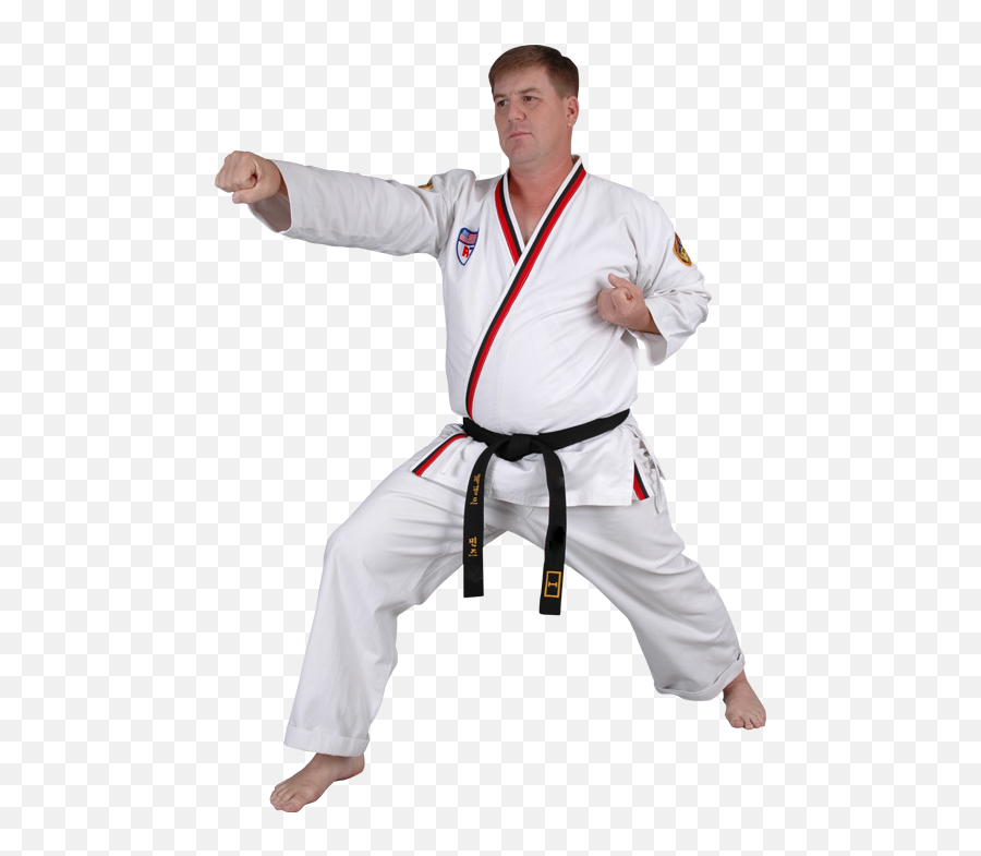 Adult Martial Arts Triumph Martial Arts - Martial Arts Belt Emoji,Brazilian Gymnast Emotions