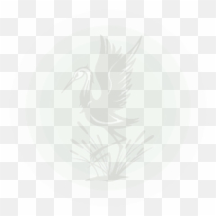 Qigong - Gruiformes Emoji,Qigong Releases Emotions