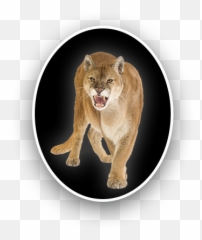Kings Lake Education Center - Home Emoji,Kings Of Emotion