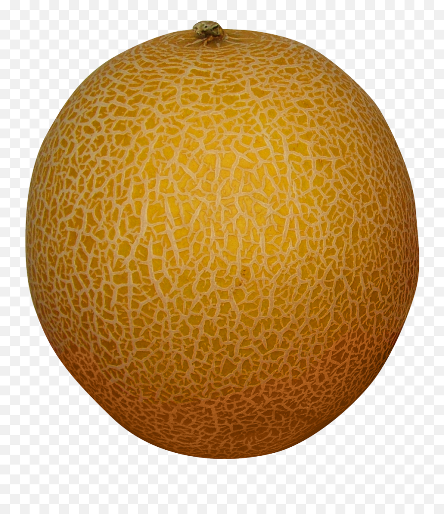 This Png File Is About Fruits Melon Rockmelon - Melon Transparent Background Melon Png Emoji,Melon Emoji