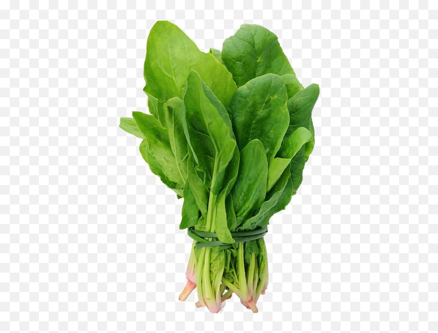 The Most Edited Spinach Picsart - Spinach Png Emoji,Spinach Emoji