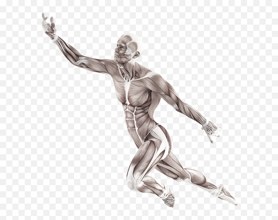 Fascia - The Web Without A Weaver U2014 Conscious Living Body In Motion Png Emoji,Fascia Emotions