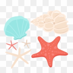 Seashell Clip Art Sea Shells Clip Art - Clip Art Seashell Png Emoji,Seashell Emoji