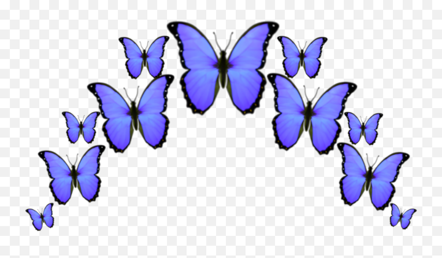 Buterfly Blue Png Emoji,Emoticon Blue Butterfly