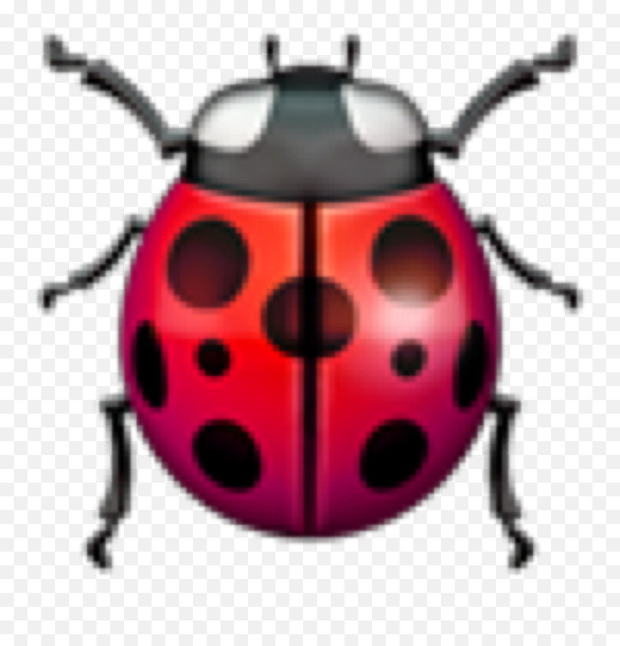 Ladybug Emoji Pink Red Lovely Sticker By - Ladybug Emoji,Insect Emoji