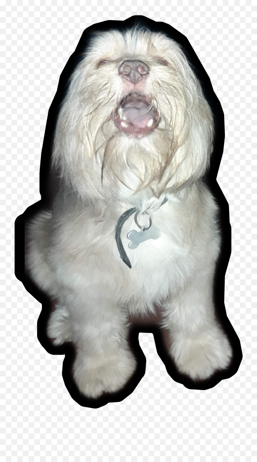 Edit Cachu Stickers - Vulnerable Native Breeds Emoji,Old English Sheep Dog Emoji