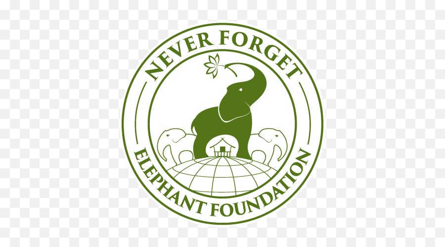 New Beginnings U2014 Never Forget Elephant Foundation - Usaid Pakistan Emoji,Inside Out Emotions Elephtant