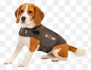 Helping Their Anxiety Emoji,Beagle Puppy Emotions